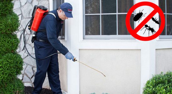 Kepez Kene İlaçlama böcek ilaçlama ve haşere kontrolü — ilaclama-tr.com